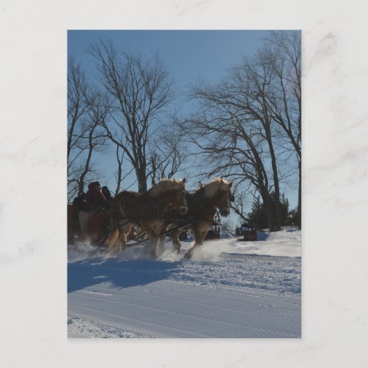 Sleigh ride Stowe Vermont Briefkaart (Voorkant)