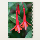 Slender Red Fuchsia Flowers Floral Notitieboek (Achterkant)