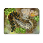 Slender Snouted Crocodile Magneet (Horizontaal)