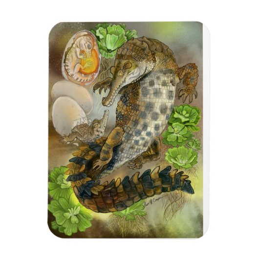 Slender Snouted Crocodile Magneet (Verticaal)