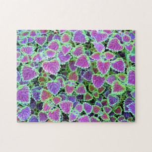 Slepende Bourgondië Coleus Legpuzzel
