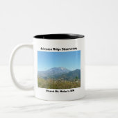 Slepende Pegs. Tweekleurige Koffiemok (Links)