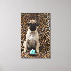 Sleppuppy zittend tegen dierlijke afdruk 2 canvas afdruk