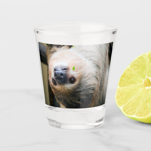Sleuf 001 shot glas (Voorkant)