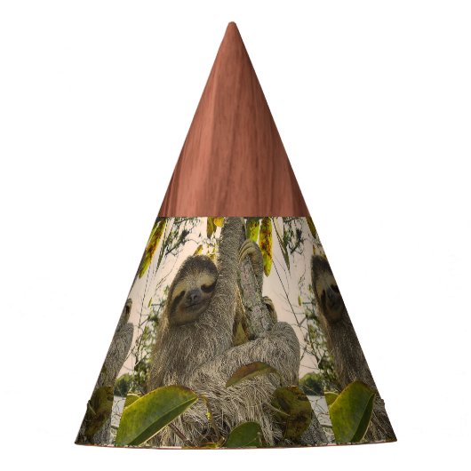 Sleuf Feesthoedjes (Voorkant)