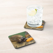 Sleuf met pompoen bier onderzetter (Rechterzijde)