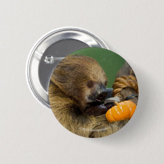 Sleuf met pompoen ronde button 5,7 cm (Voorkant /achterkant)