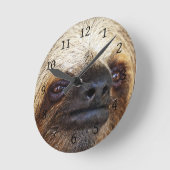 Sleuf Ronde Klok (Hoek)