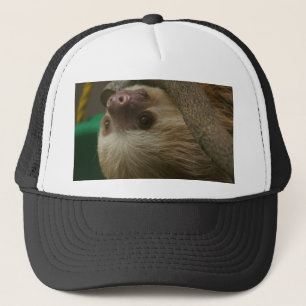 Sleuf Trucker Pet