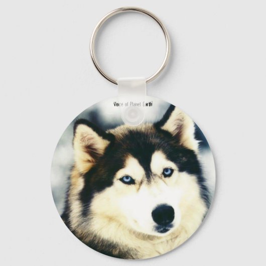 Sleutelhanger 9 - Alaska Husky (Voorkant)