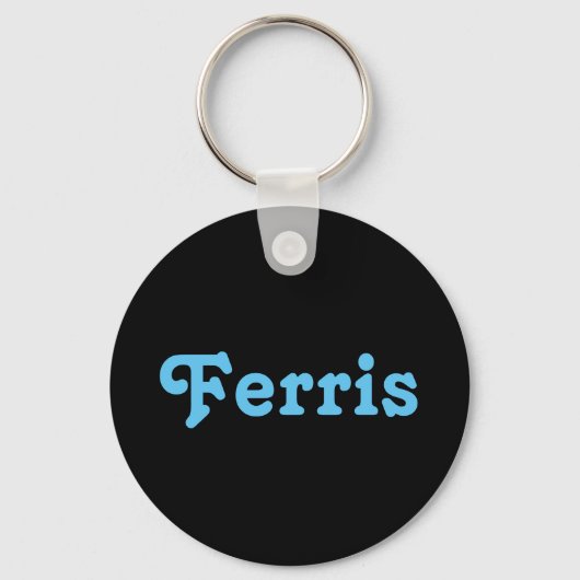 Sleutelhanger Ferris (Voorkant)