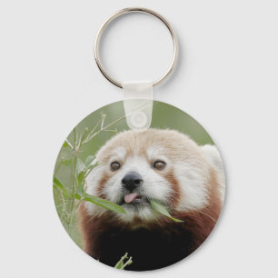 sleutelhanger Foto red panda, animal 0325.