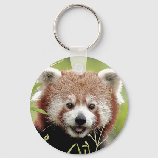 sleutelhanger Foto red panda, animal 0328. (Voorkant)