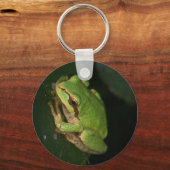 Sleutelhanger groene boomkikker (Voorkant)