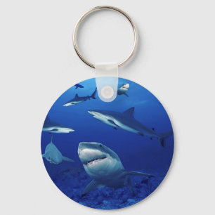 Sleutelhanger haaien