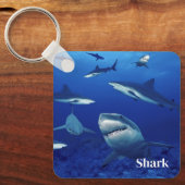 Sleutelhanger haaien (Voorkant)