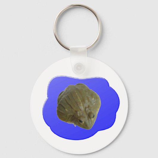 Sleutelhanger kikker (Voorkant)