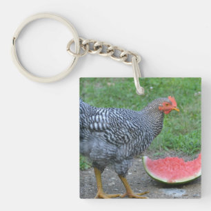 Sleutelhanger kippen