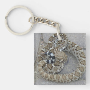Sleutelhanger met Baby Rattlesnake