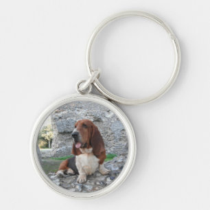 Sleutelhanger met Basset Hound Castle Ruin Bezoek
