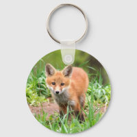 sleutelhanger met foto van de rode vosskit