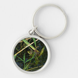 Sleutelhanger met groene kikker