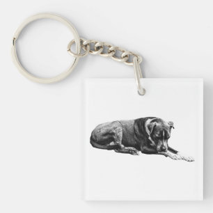 Sleutelhanger met hond in zakformaat