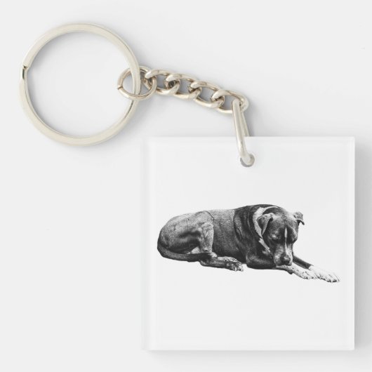 Sleutelhanger met hond in zakformaat (voorkant)