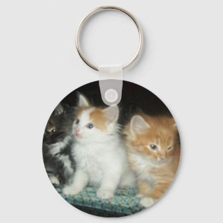 Sleutelhanger met Moppige Kittens