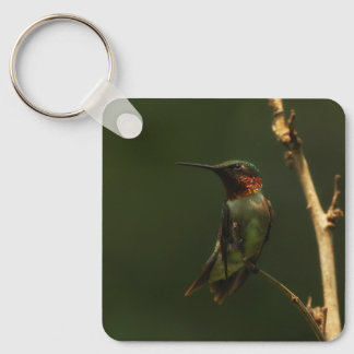 Sleutelhanger met robijnkeelkolibrie