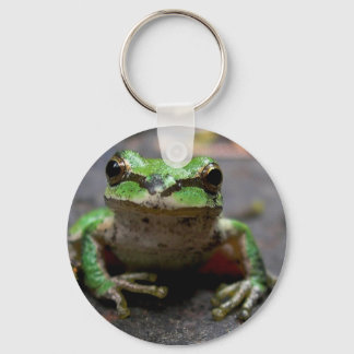 Sleutelhanger van boomkikker