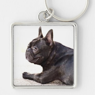 Sleutelhanger van Bulldog