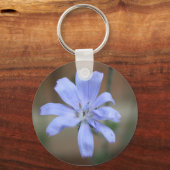 Sleutelhanger van cichorei (Voorkant)