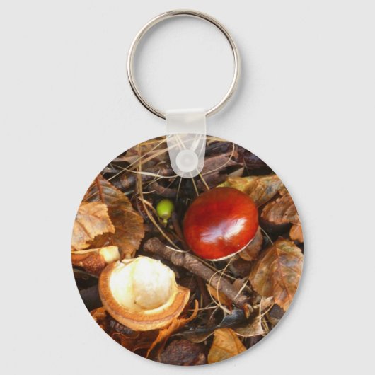 Sleutelhanger van conker en Hoesje (Voorkant)