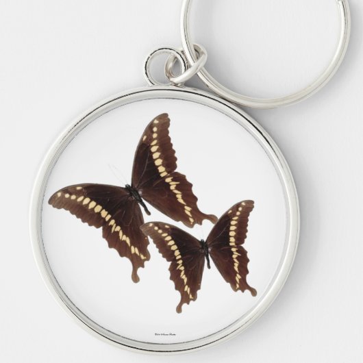 Sleutelhanger van de vlinder (Voorkant)