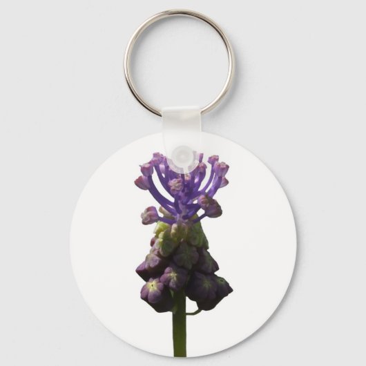 Sleutelhanger van druiven Hyacinth (Voorkant)