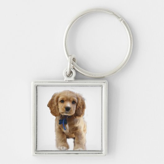 Sleutelhanger van jonge katkerspaniel (Voorkant)
