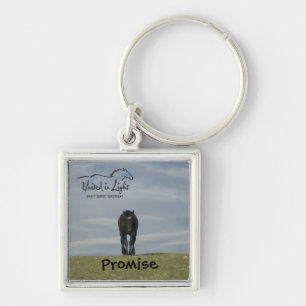 Sleutelhanger van paarden