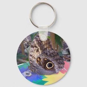 Sleutelhanger van vlinder