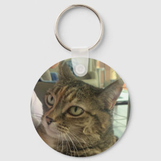 sleutelhangers boomverbeelding verschillend