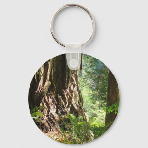Sleutelhangers van Redwood-bomen