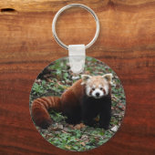 Sleutelketen - rode panda 2 sleutelhanger (Voorkant)