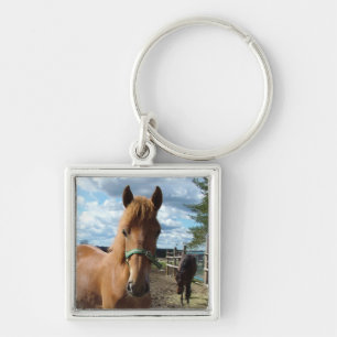 sleutelketen voor paarden sleutelhanger