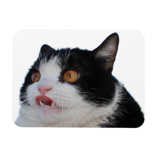 sleutelmagneet magneet (Horizontaal)