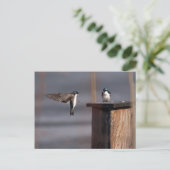 Slib 9659 briefkaart (Staand voorkant)