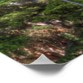 Slice of Rainier HDR Print w/Scripture Verse (Hoek)