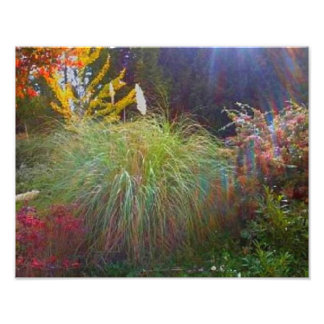 Slight Sun Rays Foto Afdruk