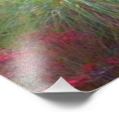 Slight Sun Rays Foto Afdruk (Hoek)