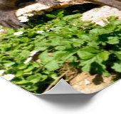 Slijp-appelmoes Poster (Hoek)