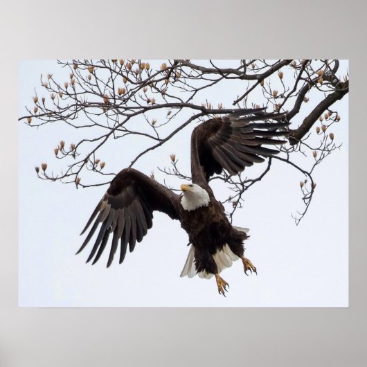 Slijpen in de lucht poster (Voorkant)